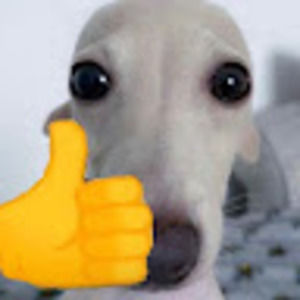 Meet your Posher, Kaitlin